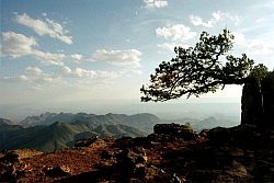 Big Bend solitude