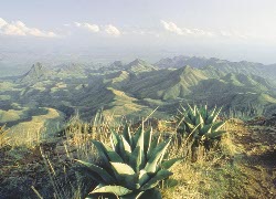 Big Bend mountaintop