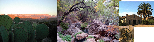 Desert diversity in Big Bend